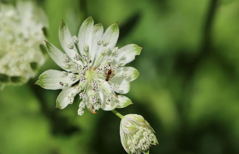 Major Indexes Rally as Tech Stocks Surge Amidst Market Optimism