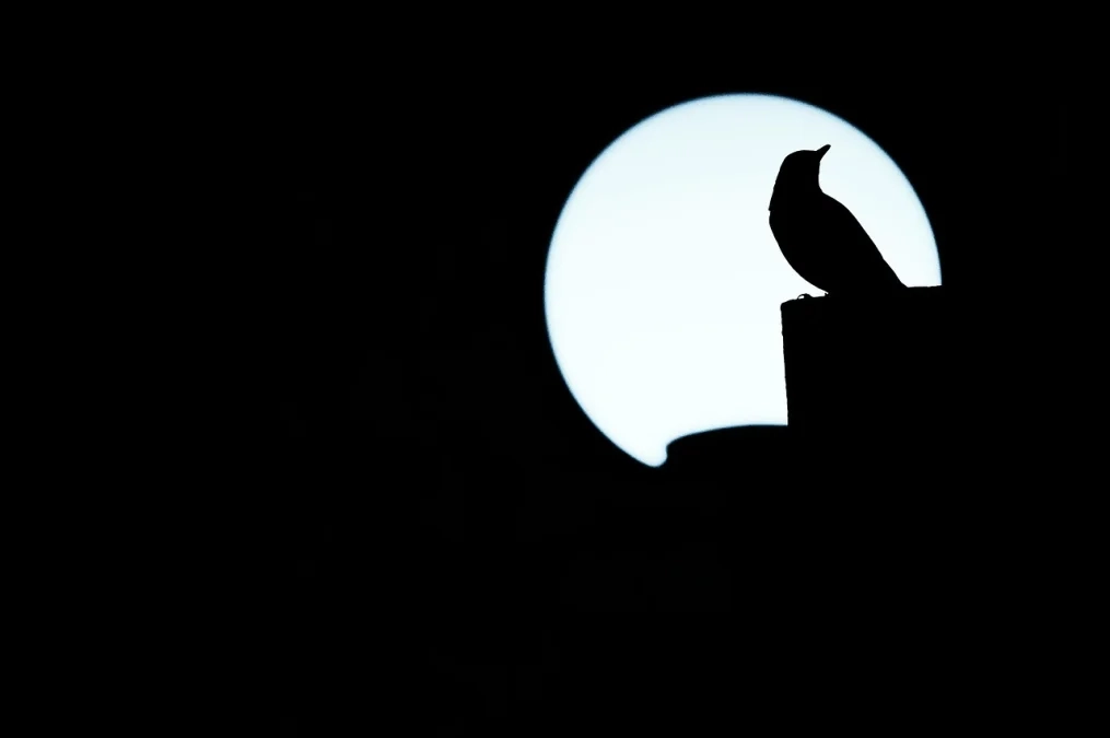 Why Some Analysts Think Gold Could Hit New Highs in 2026 Why Some Analysts Think Gold Could Hit New Highs in 2026