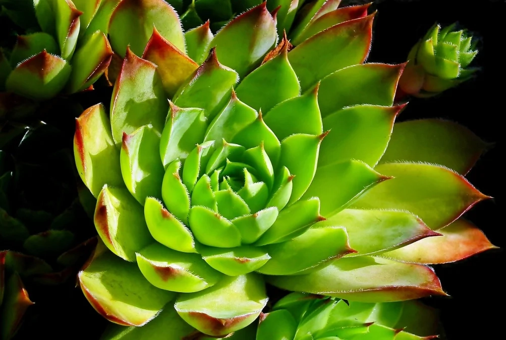 Small Business Grants You Can Apply for Today