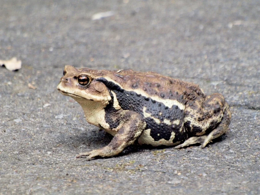 What Is DeFi and How Does It Work?