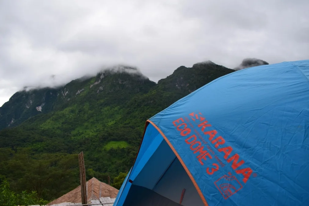 The Role of DAOs in Future Corporate Governance