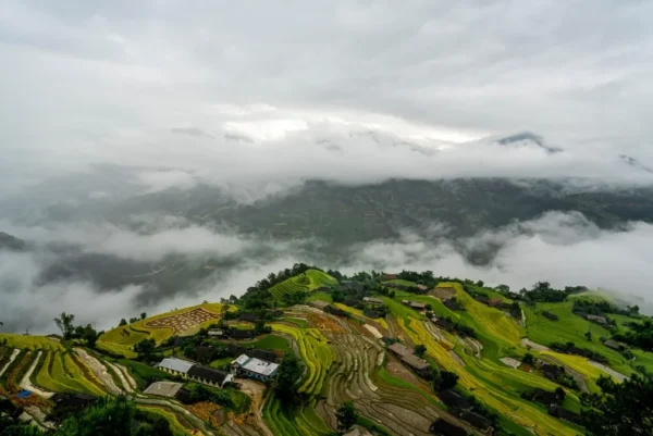 How to Buy Bitcoin Safely: A Step-by-Step Guide for Beginners