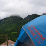 The Future of Corporate Governance: How DAOs Are Revolutionizing Decision-Making