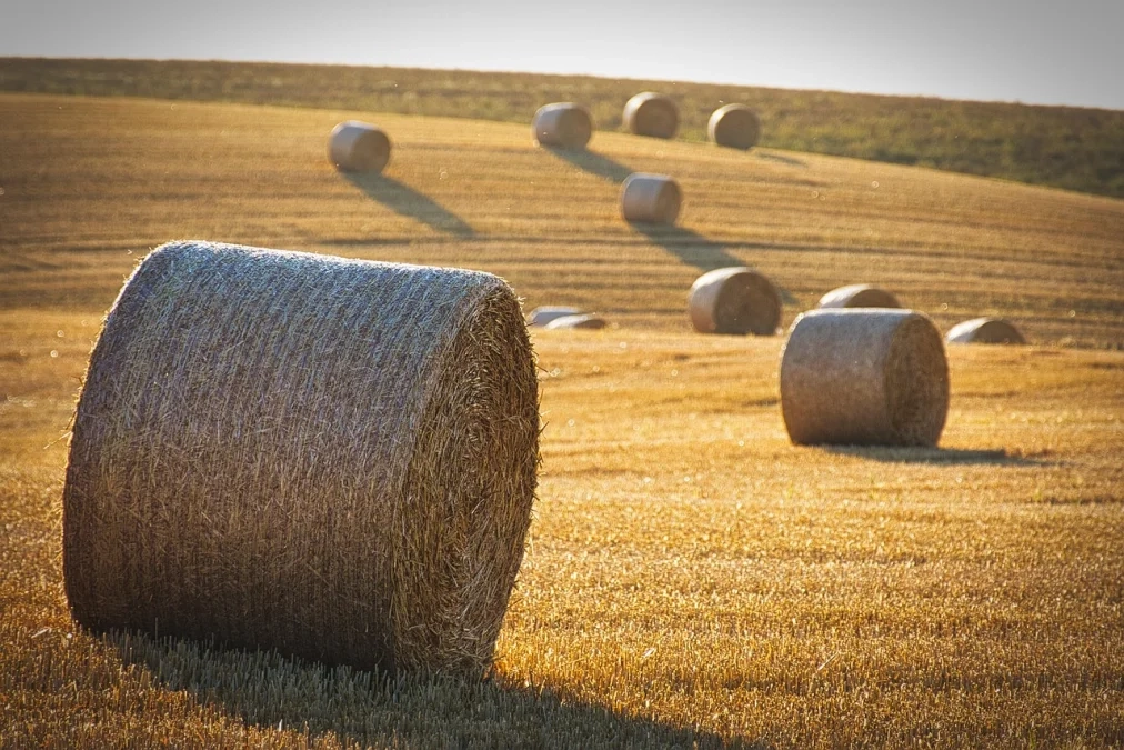 Maximizing Returns: The Top Yield Farming Strategies During a Bull Market