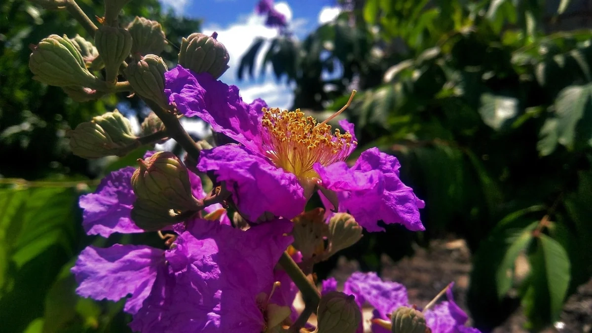 7 Essential Security Tips Every Crypto Investor Should Know