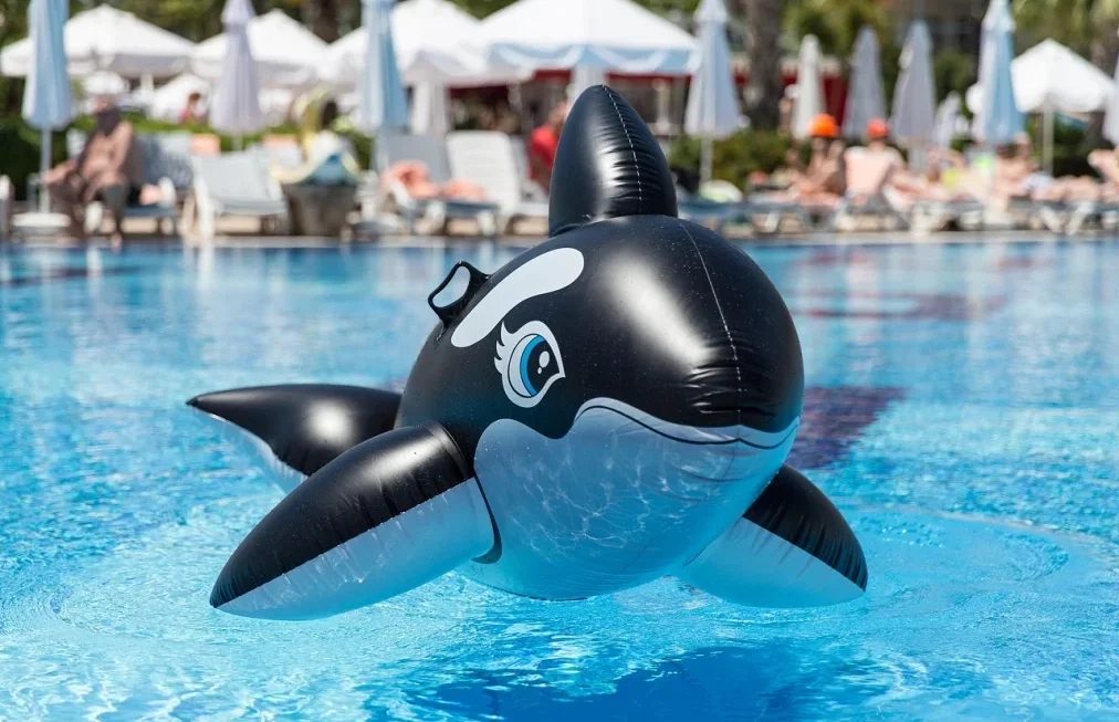 Top Insights Into Whale Activity: Understanding Migration, Communication, and Behavior